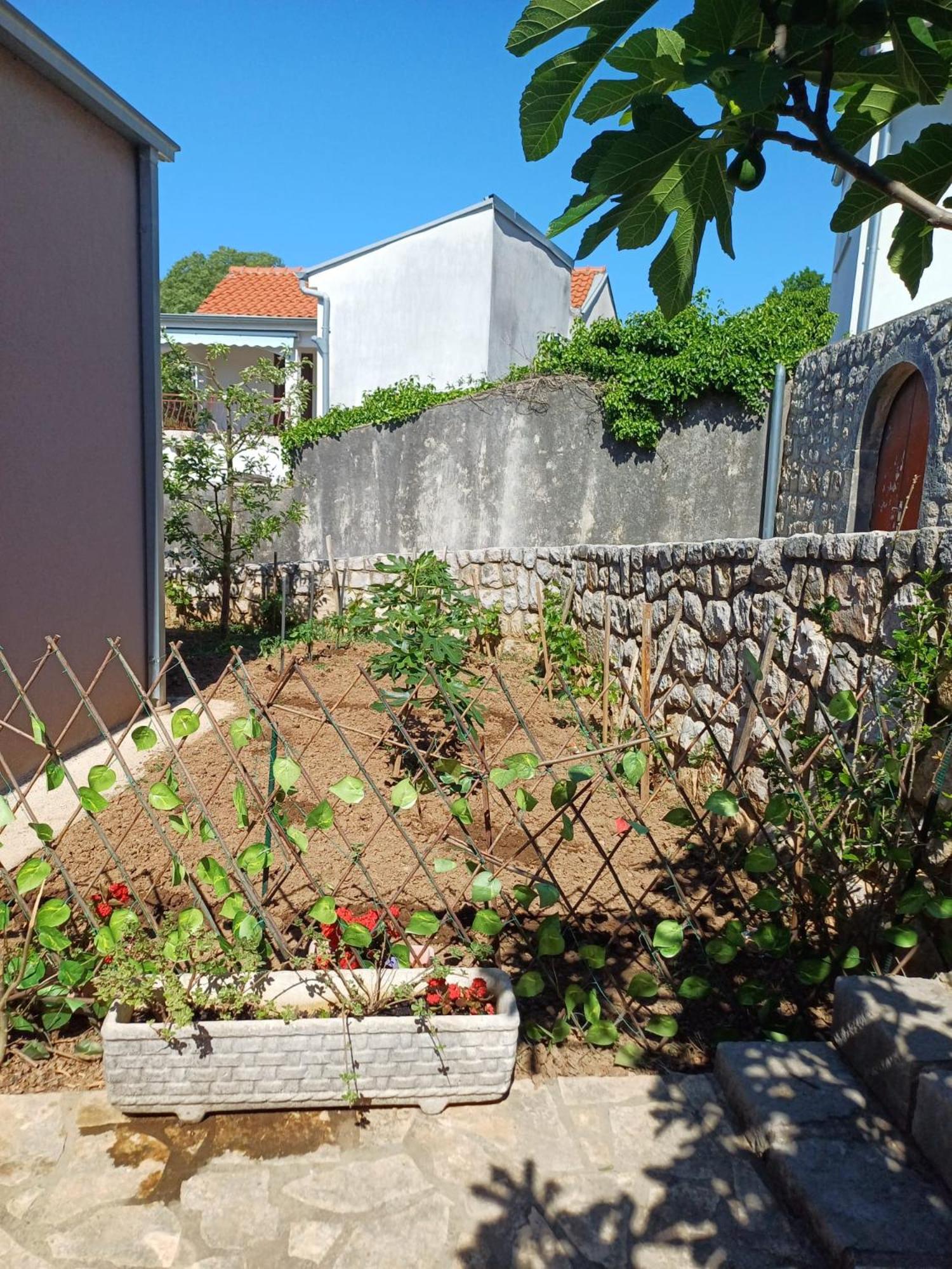 Apartmani Afrodita Crikvenica Exterior photo